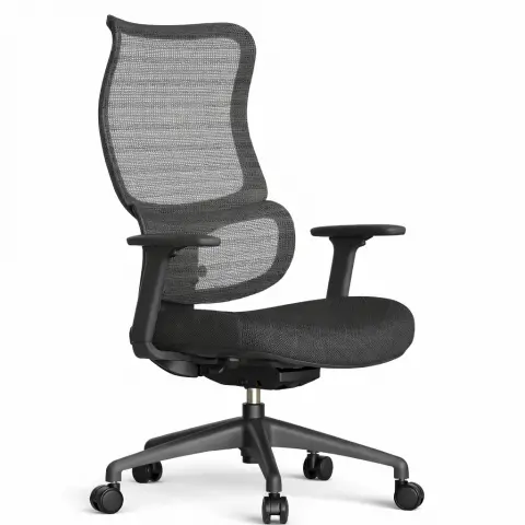 ProMesh Task Chair